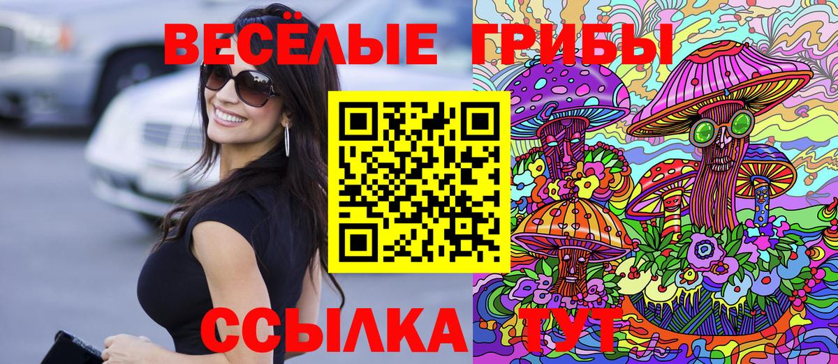 Псилоцибиновые грибы ЛСД Заринск