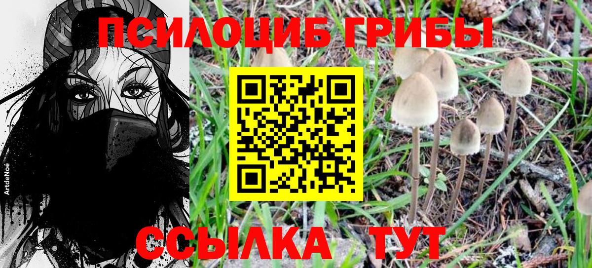 Псилоцибиновые грибы Magic Shrooms  Галлюциногенные грибы ЛСД  Заринск  Вход с VPN 